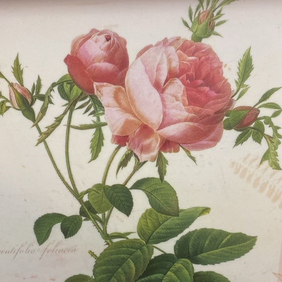 2  Melamine Handled Dinner TV
Lap Trays Roses Flowers Floral - Picture 9 of 16